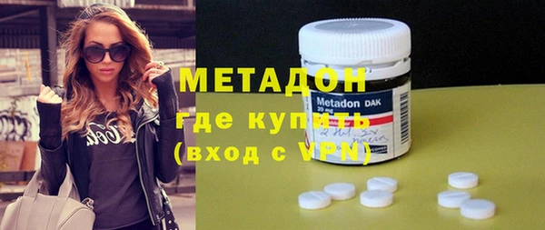 прущие грибы Аркадак