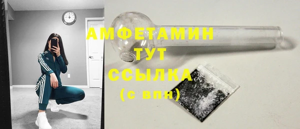 прущие грибы Аркадак