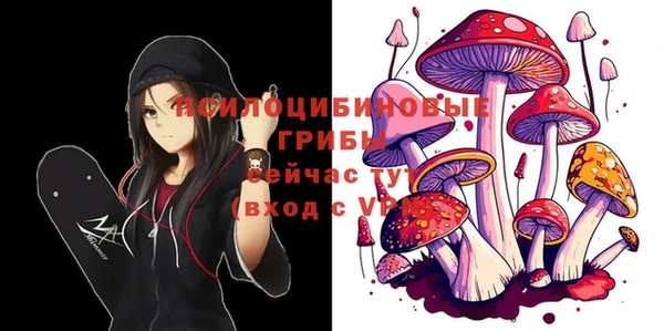 прущие грибы Аркадак