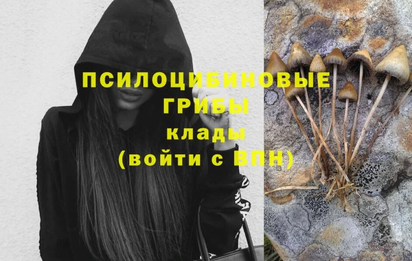 прущие грибы Аркадак