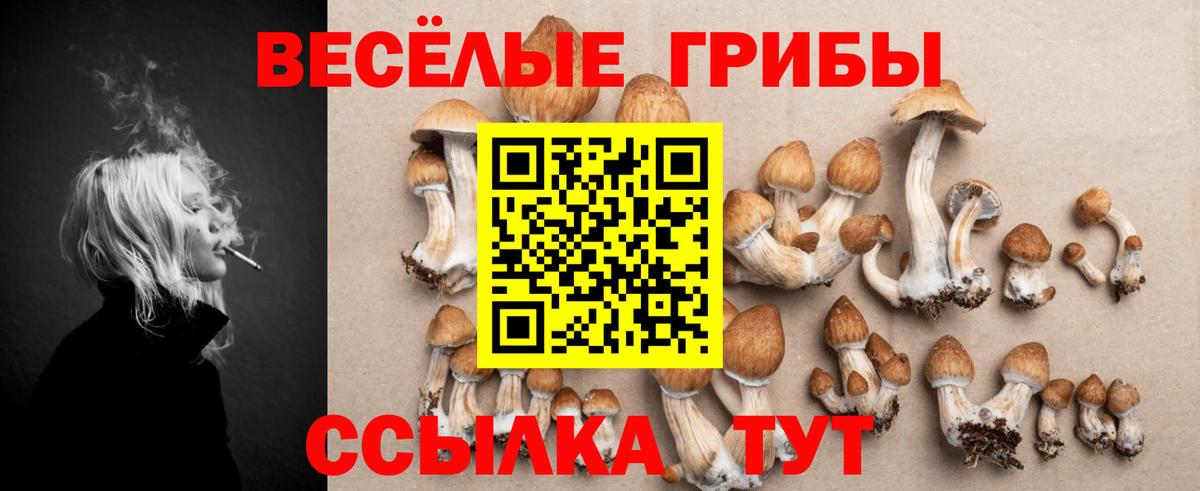 Псилоцибиновые грибы Psilocybe Дюртюли
